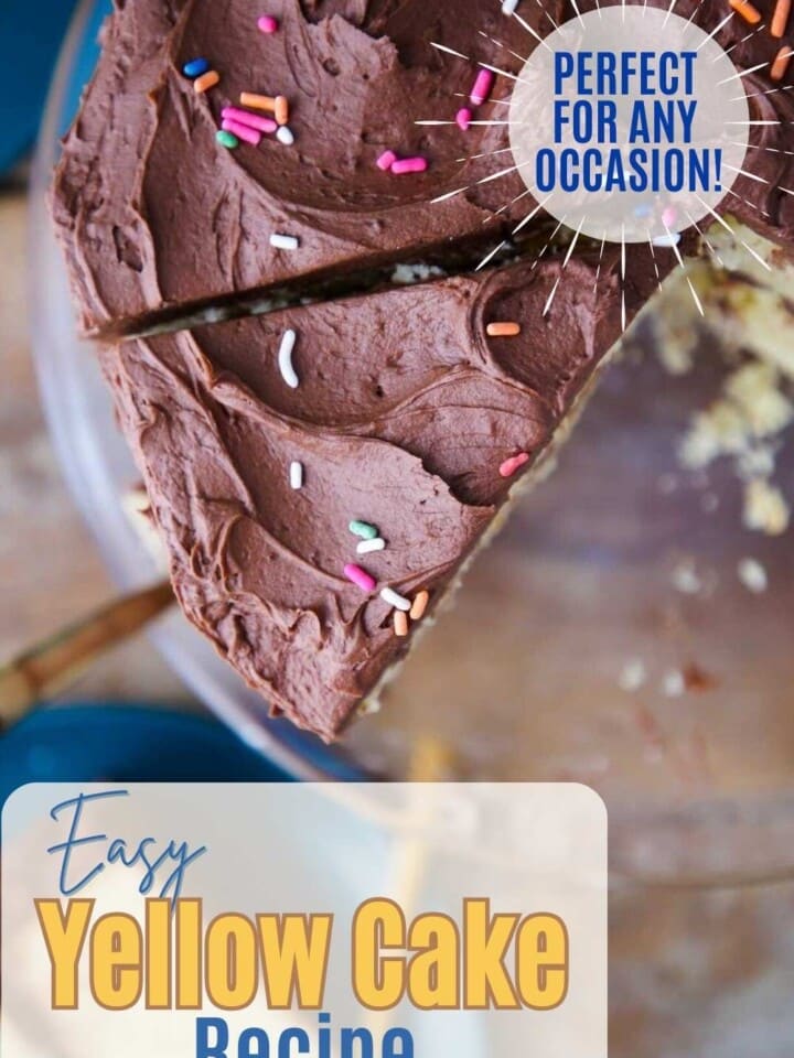 Yellow cake with chocolate frosting and rainbow sprinkles.