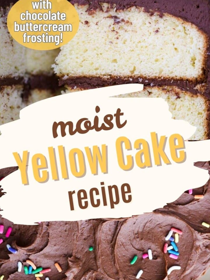 Slice of fluffy moist yellow cake with chocolate frosting and rainbow sprinkles.