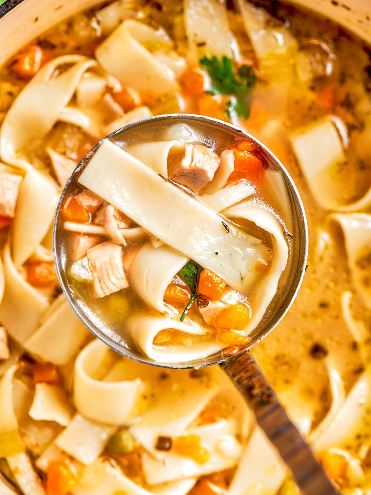 cooked egg noodles in ladle of chicken noodle soup.
