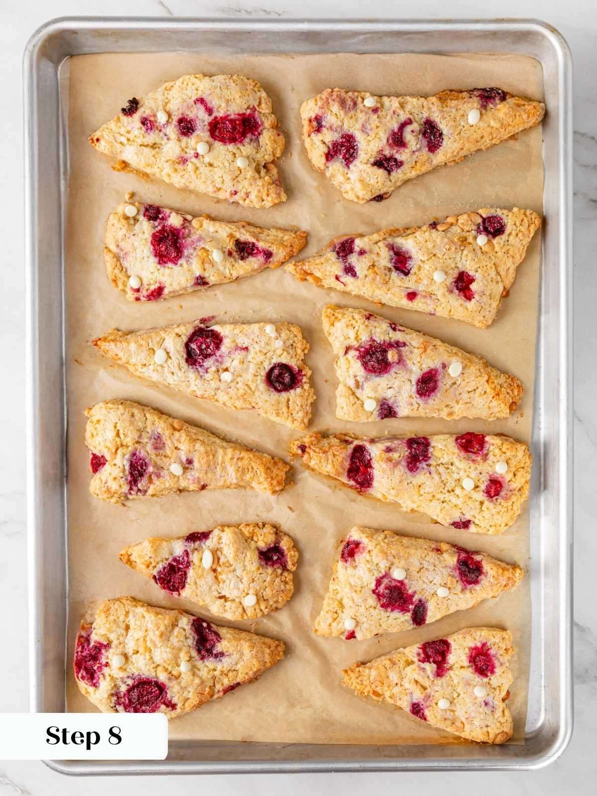 Twelve baked golden scones with caramelized white chocolate chips and raspberries on a parchment-lined baking sheet.